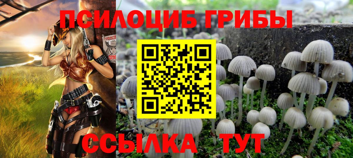 Магнитогорск  Галлюциногенные грибы мухоморы  Вход с VPN  Галлюциногенные грибы Cubensis 